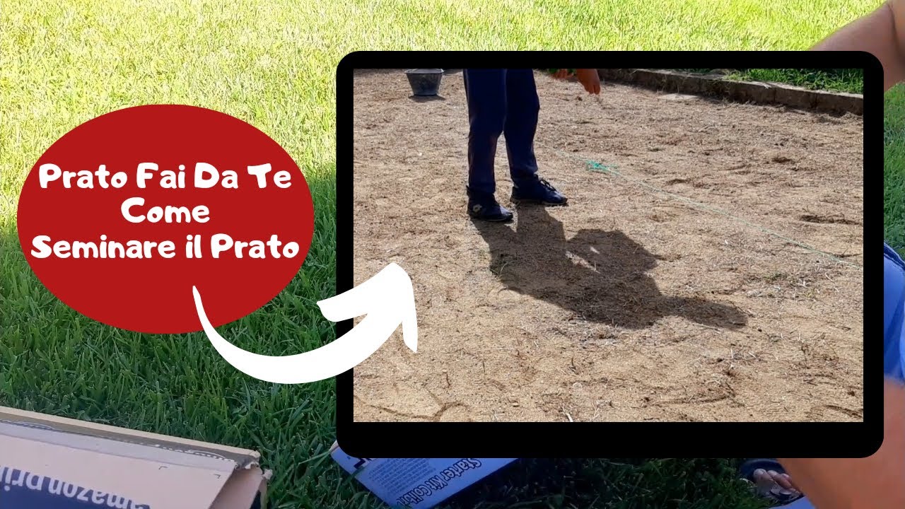 Come Seminare Il PRATO