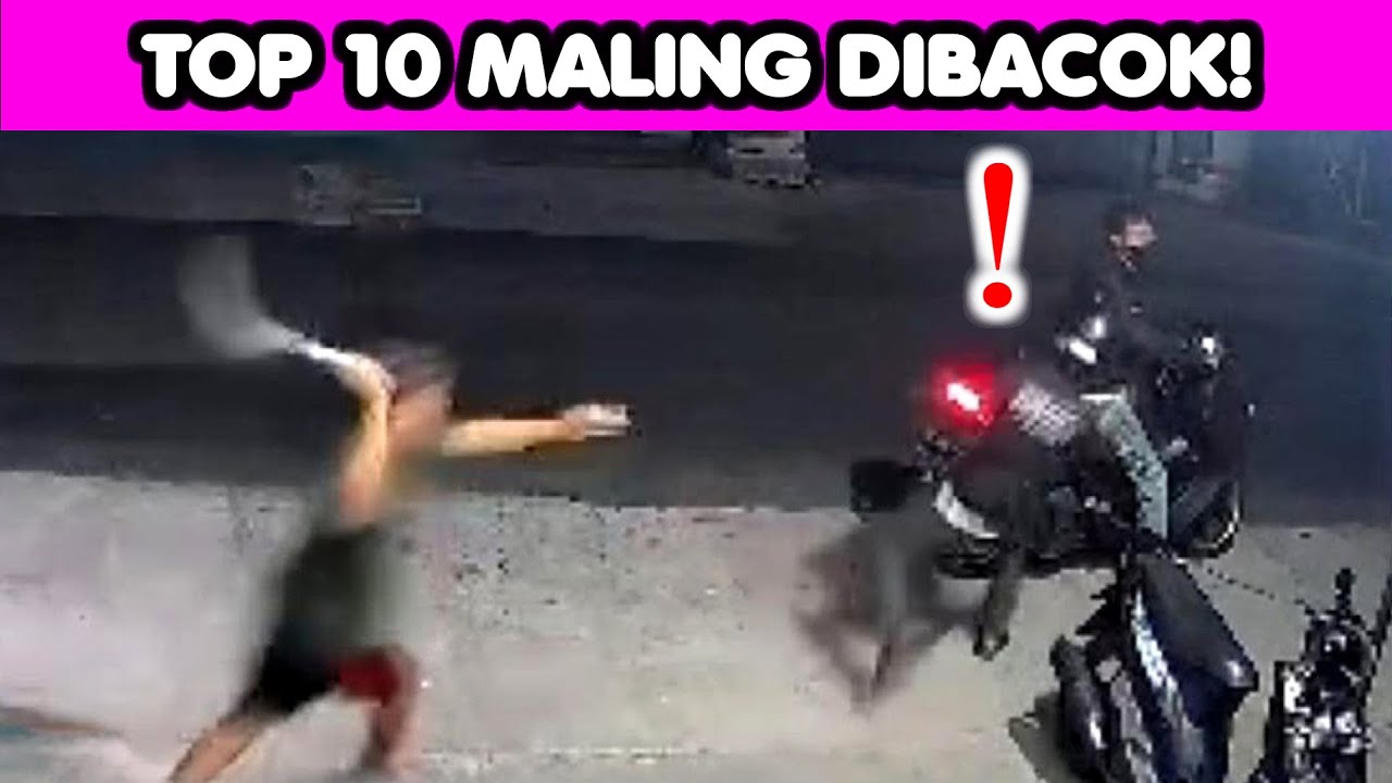 MAMPUS ! Ini 10 MALING APES yang SALAH LAWAN dan GAGAL TOTAL!