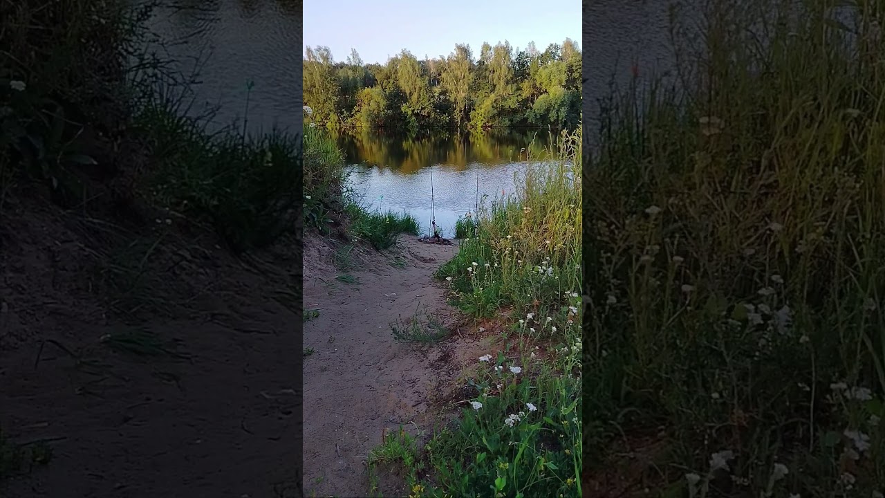 ТЕРПЕНИЕ.#томхарди #цитаты #психология