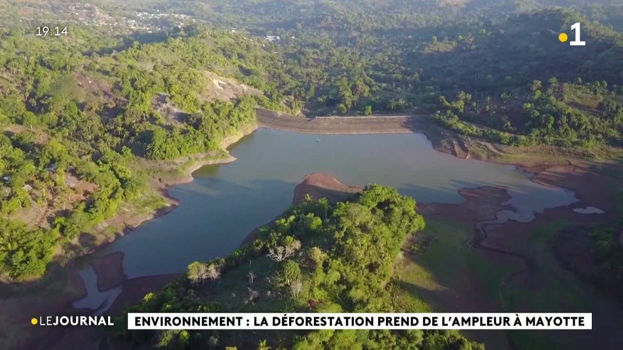 Environnement : La déforestation prend de l'ampleur à Mayotte