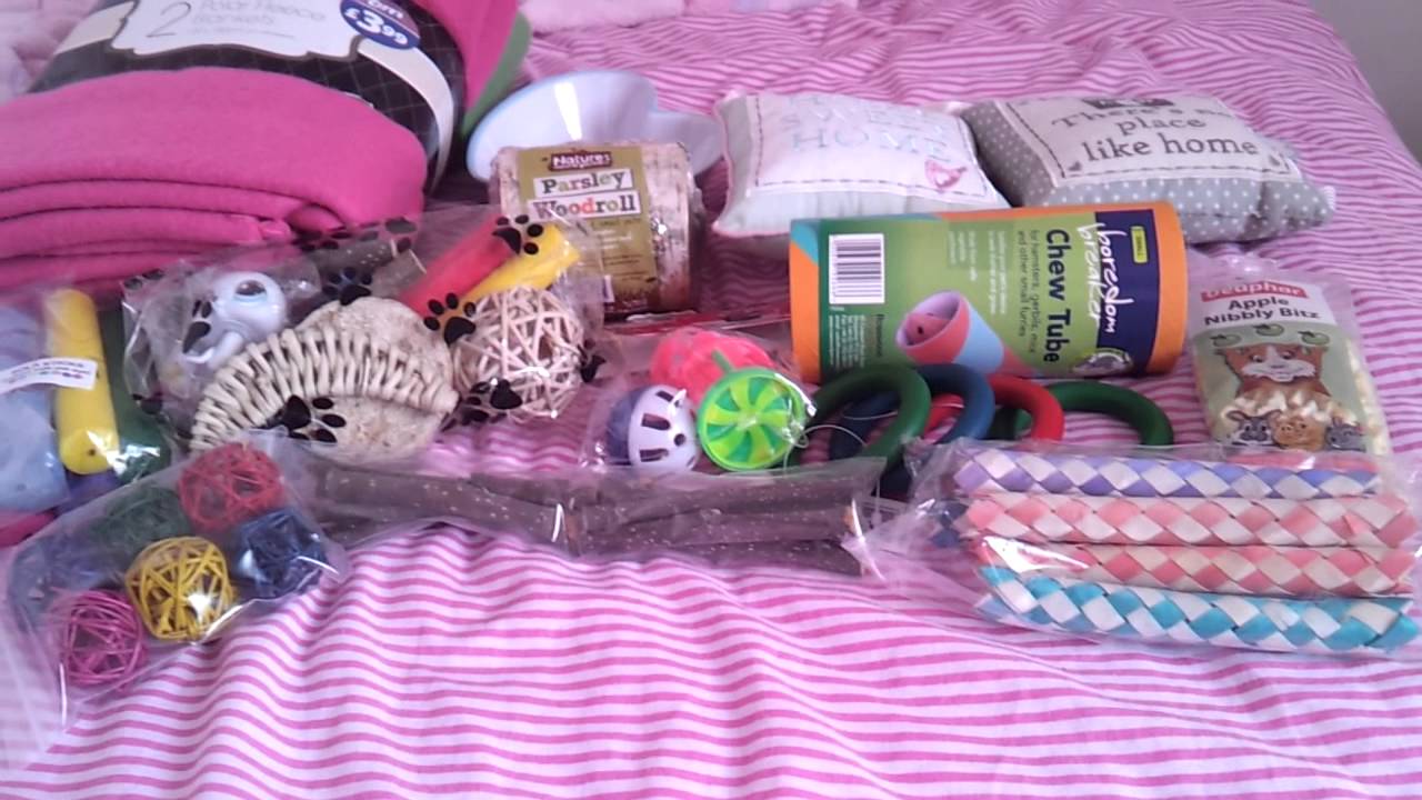 Big Rabbit &Hamster Haul