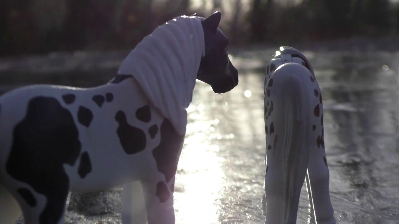 Playmobil Kurzfilm Deutsch | Winter Foto's mit meinen Pferden