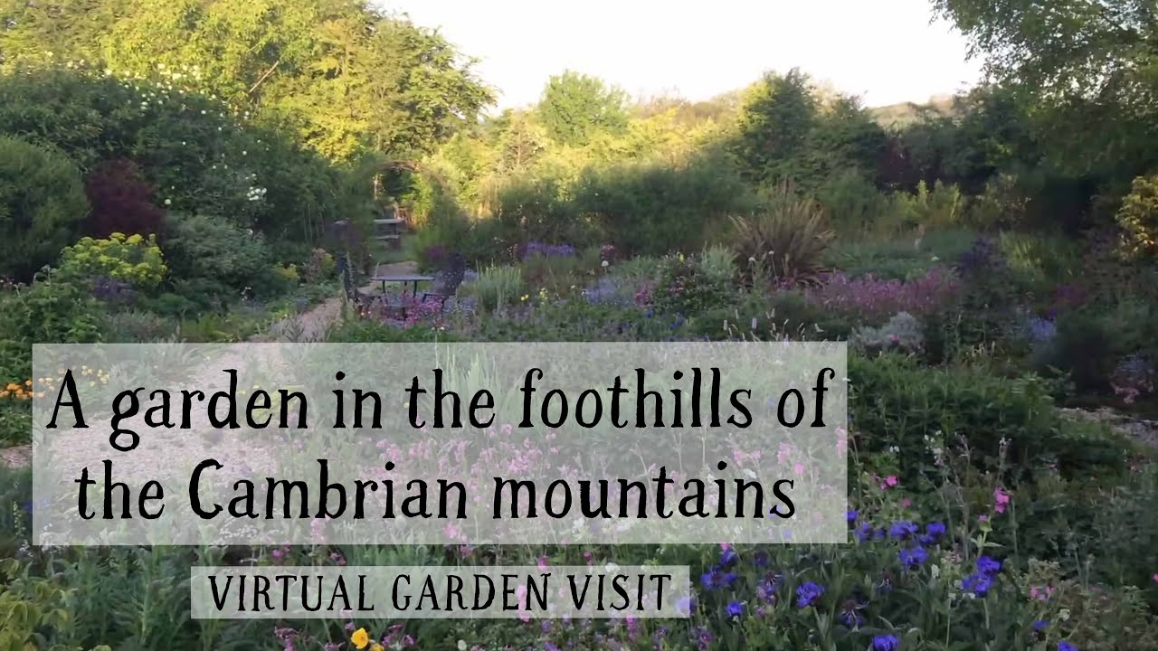 Yr Efail, Ceredigion; a garden in the foothills of the Cambrian mountains