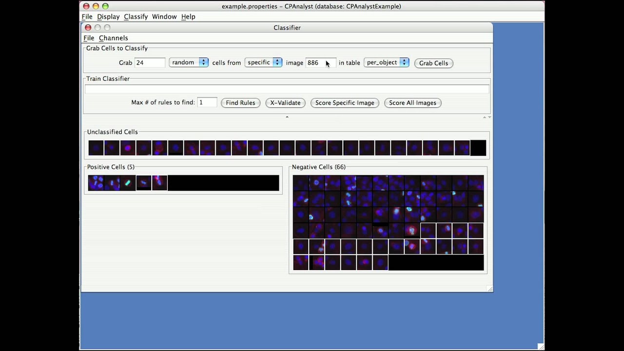 CellProfiler: Classifying Cells with Machine Learning