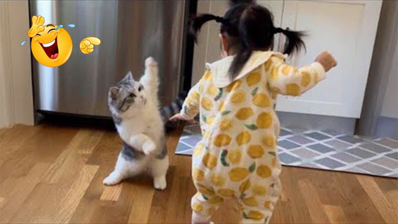 The FUNNIEST Cat Clips on the Internet 😂 SUPER Funny Cat Videos 2026