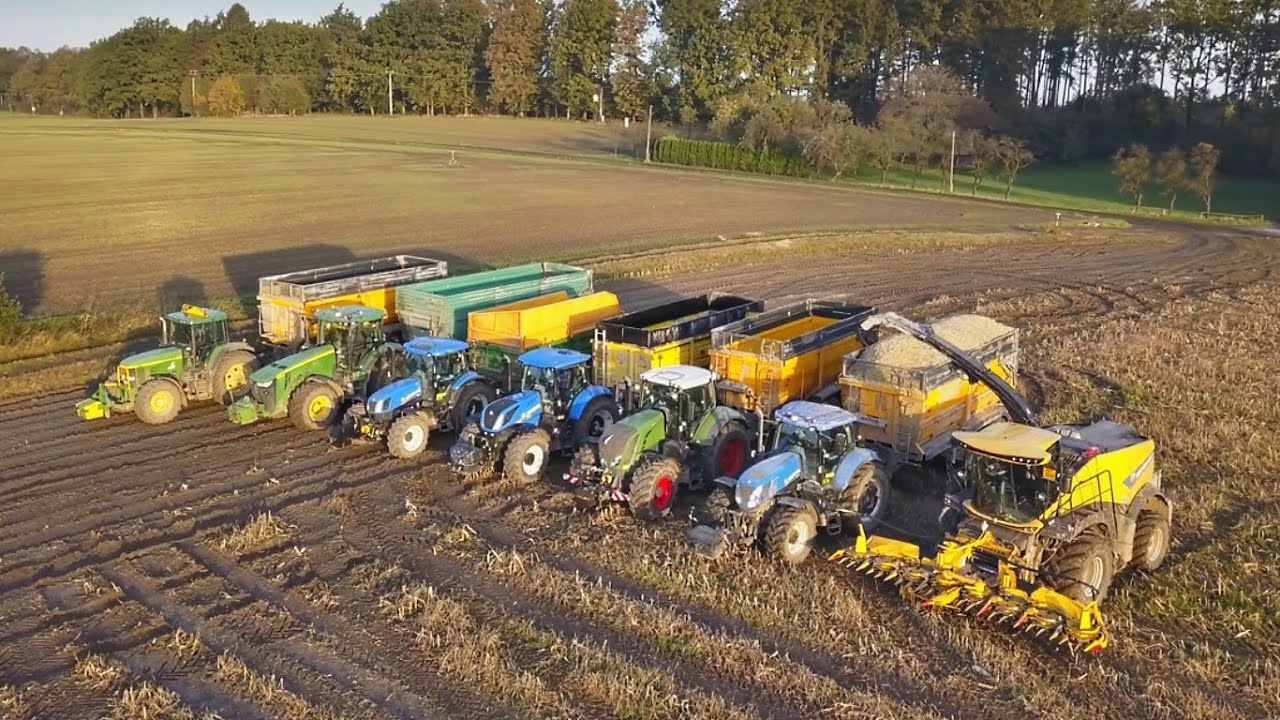 🚜 SIL&Aacute;ŽE 2020 🌽 / New Holland FR 650 / 🇨🇿  RenoFarma Beskyd, a.s. /
