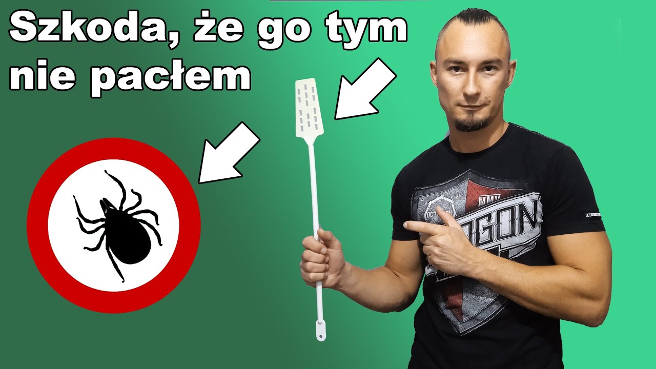 Borelioza dopadła i mnie! Antybiotyki i leczenie w Polsce.