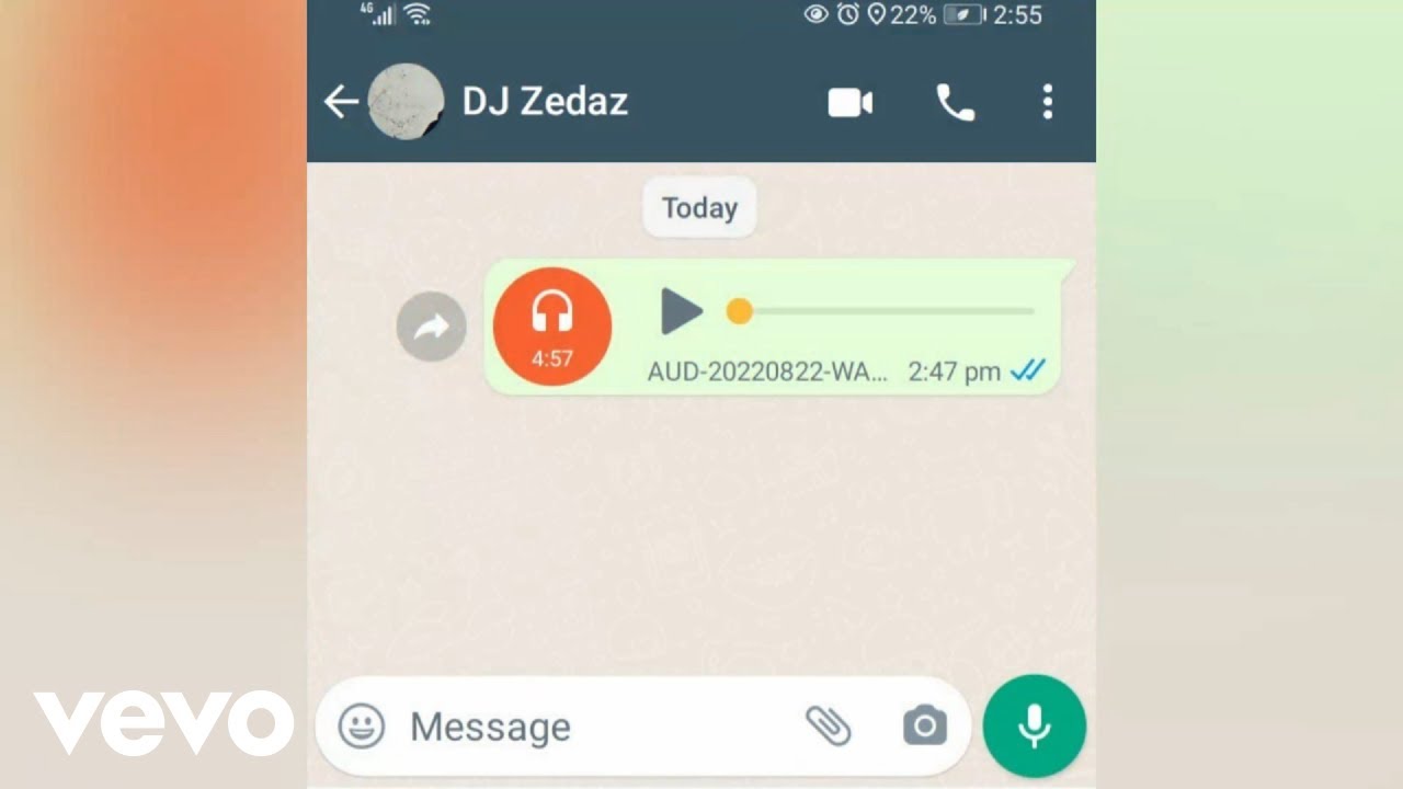 DJ Zedaz - AUD-20220822-WA0004 (Visualizer)