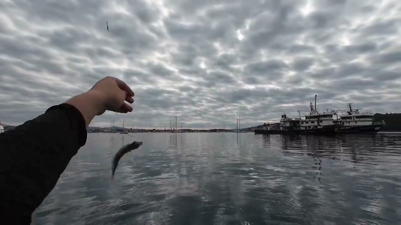 Belly Boat ile İzmir’de Balık Avı | Müthiş Bir Gün!