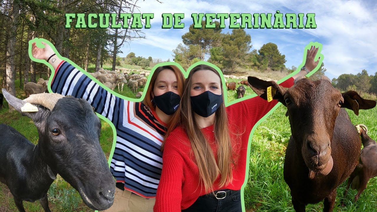 Veterinària - Visites al Campus T1, amb la Sandra Lleida i l'Anna Ventura