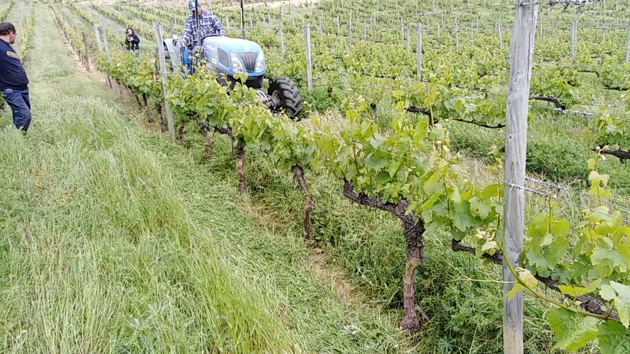 Multiclean Clemens(1)