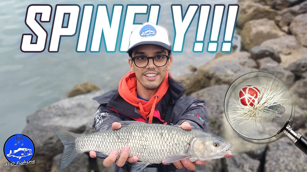 La pesca a SPINFLY! Cavedani a galla con le DBS