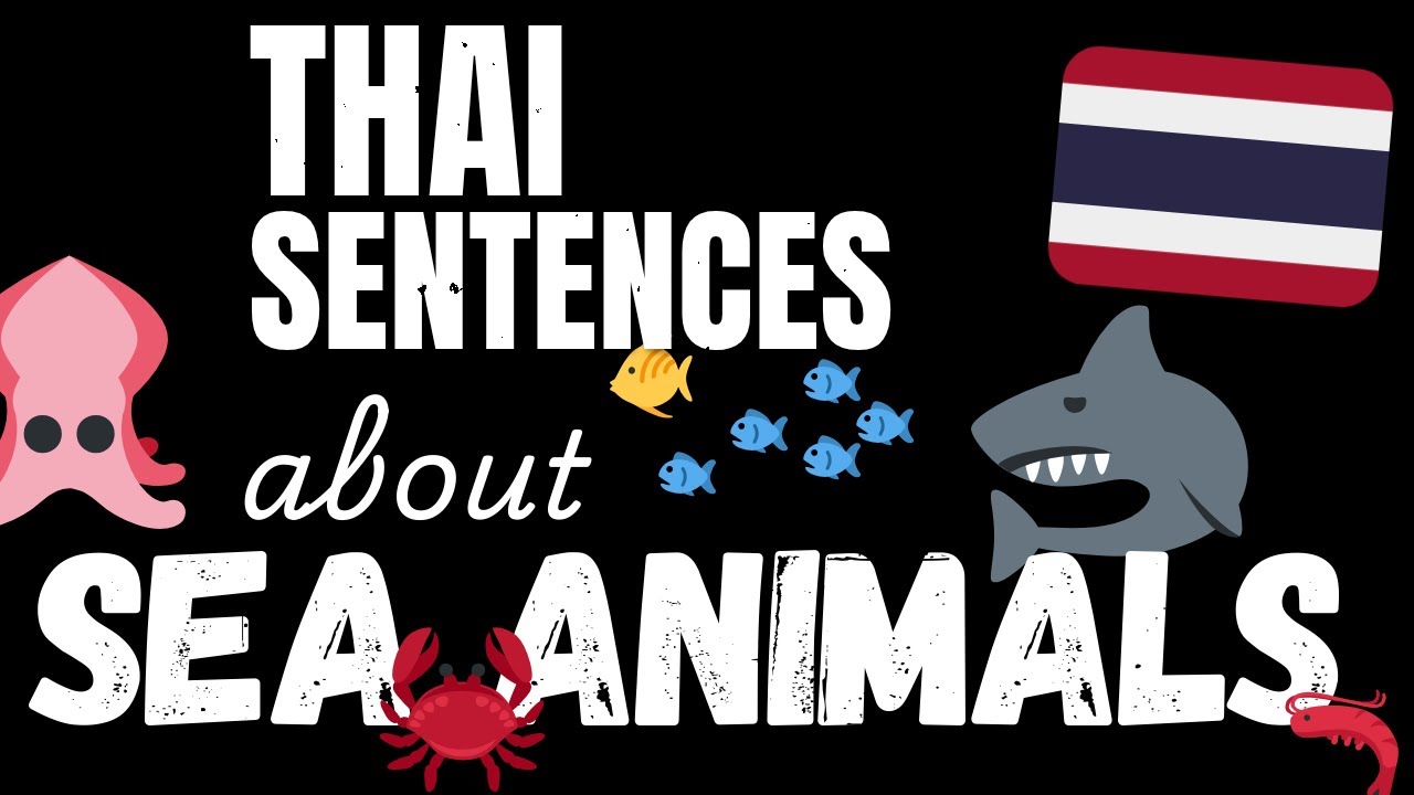 200 B1 Thai sentences - Marine Animals | Learn Intermediate Thai vocabulary