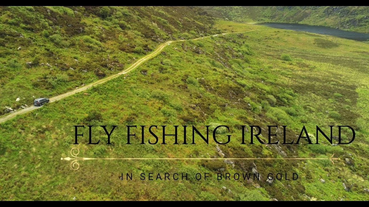 Ireland Fly Fishing - In Search of Brown Gold in 4K