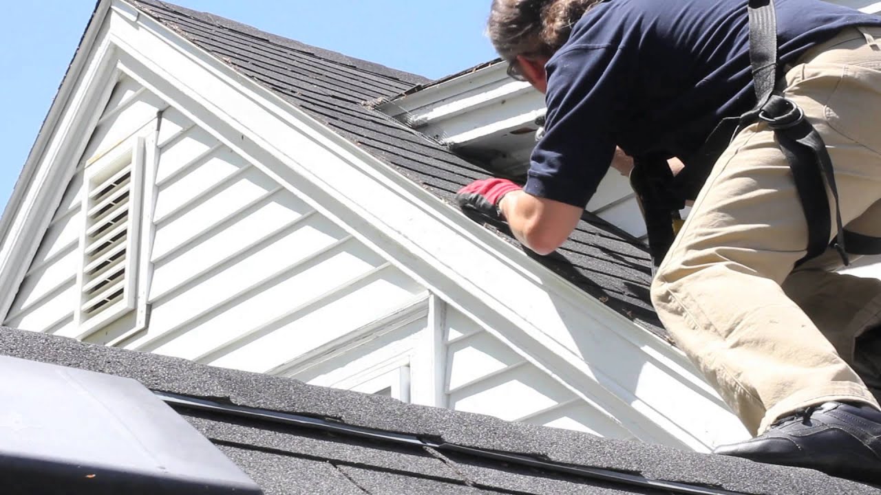 Colonial Pest Control - Bat Removal in MA & NH