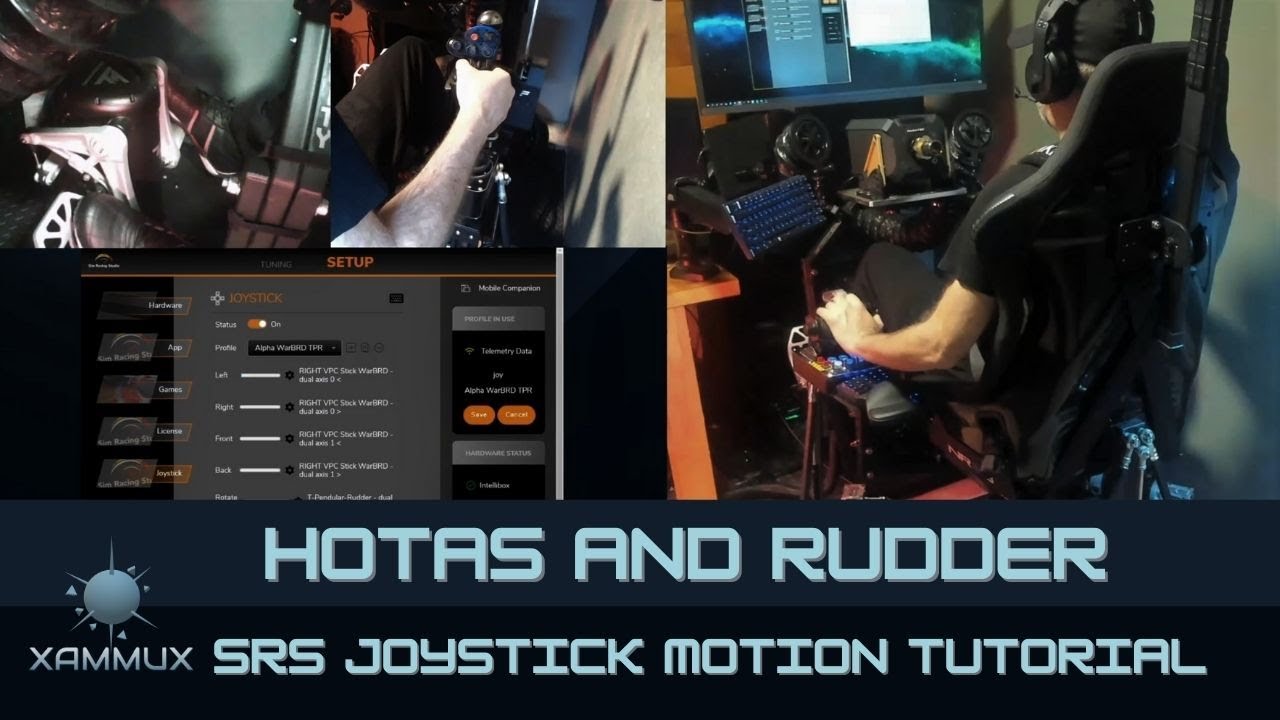 HOTAS and Rudder / Joystick Motion Tutorial for Sim Racing Studio