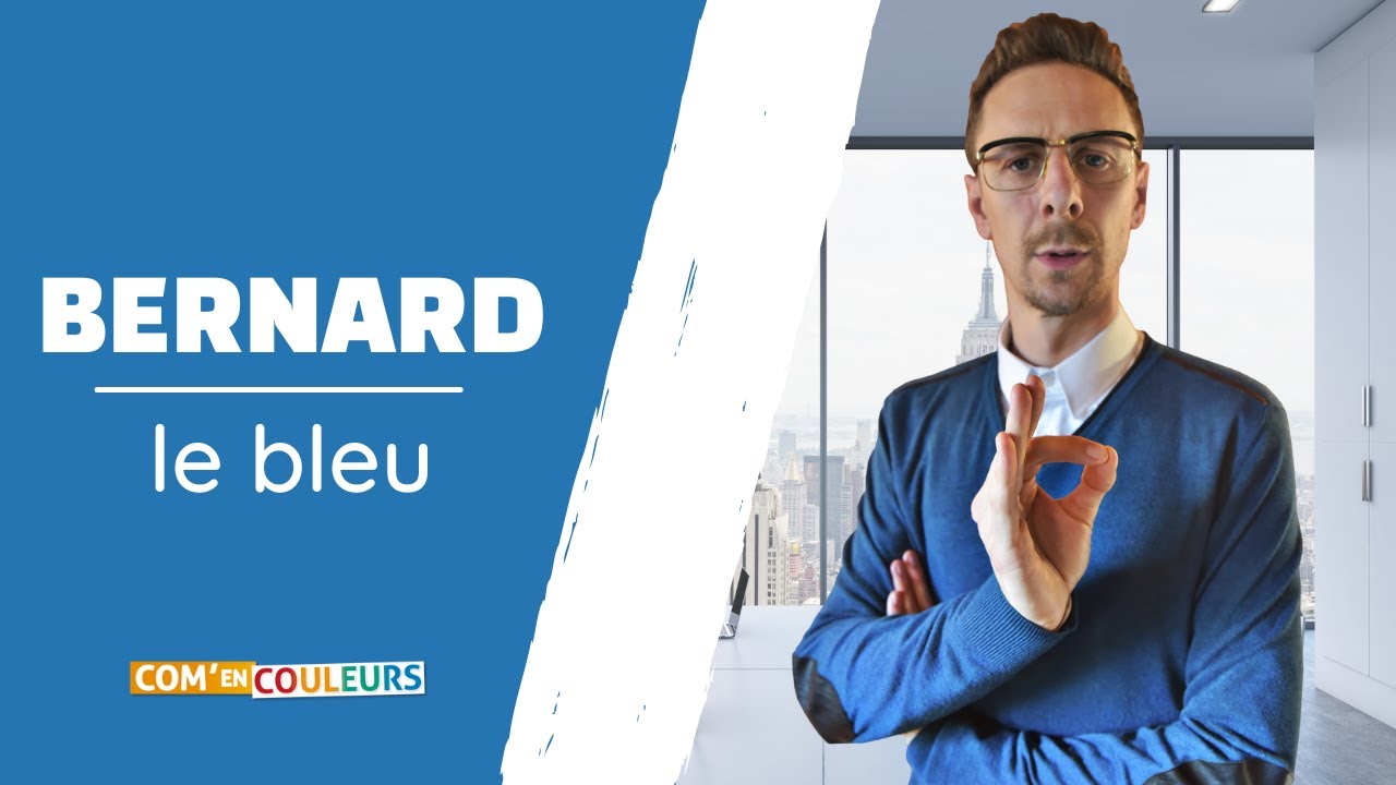 🟦 METHODE DISC : Comprendre le profil BLEU