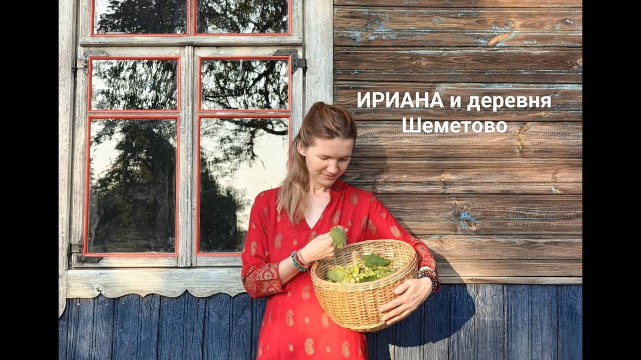 Прошли годы, обзор событий в деревне Шеметово и в жизни Ирианы.