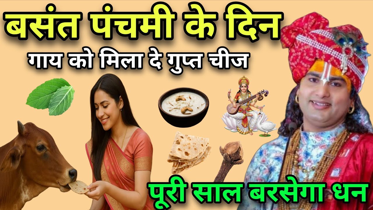 23 जनवरी बसंत पंचमी😱 के दिन गाय को मिला दे 😱 गुप्त चीज पूरी साल बरसेगा धन घर में, Basant panchmi