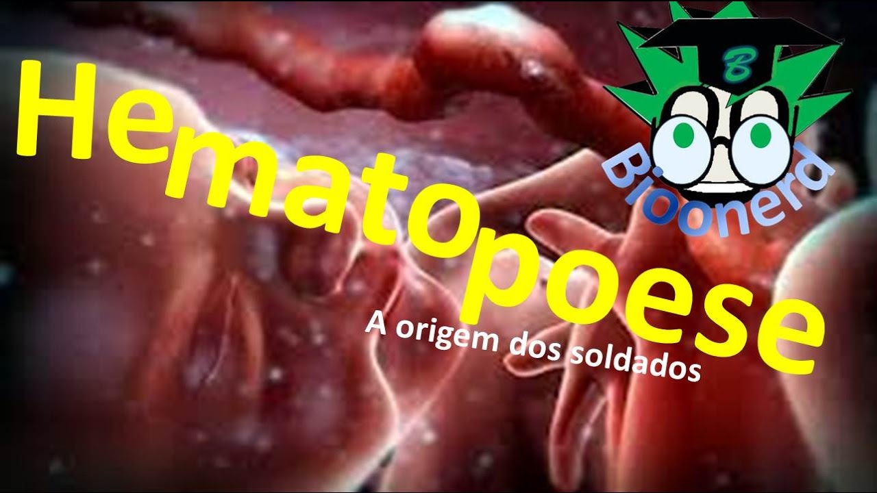 Hematopoese A origem dos soldados