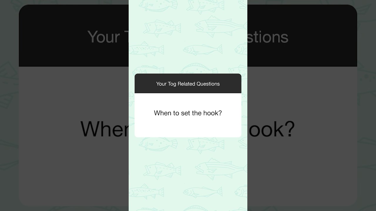 Tautog Fishing Tips: When to Set the Hook 