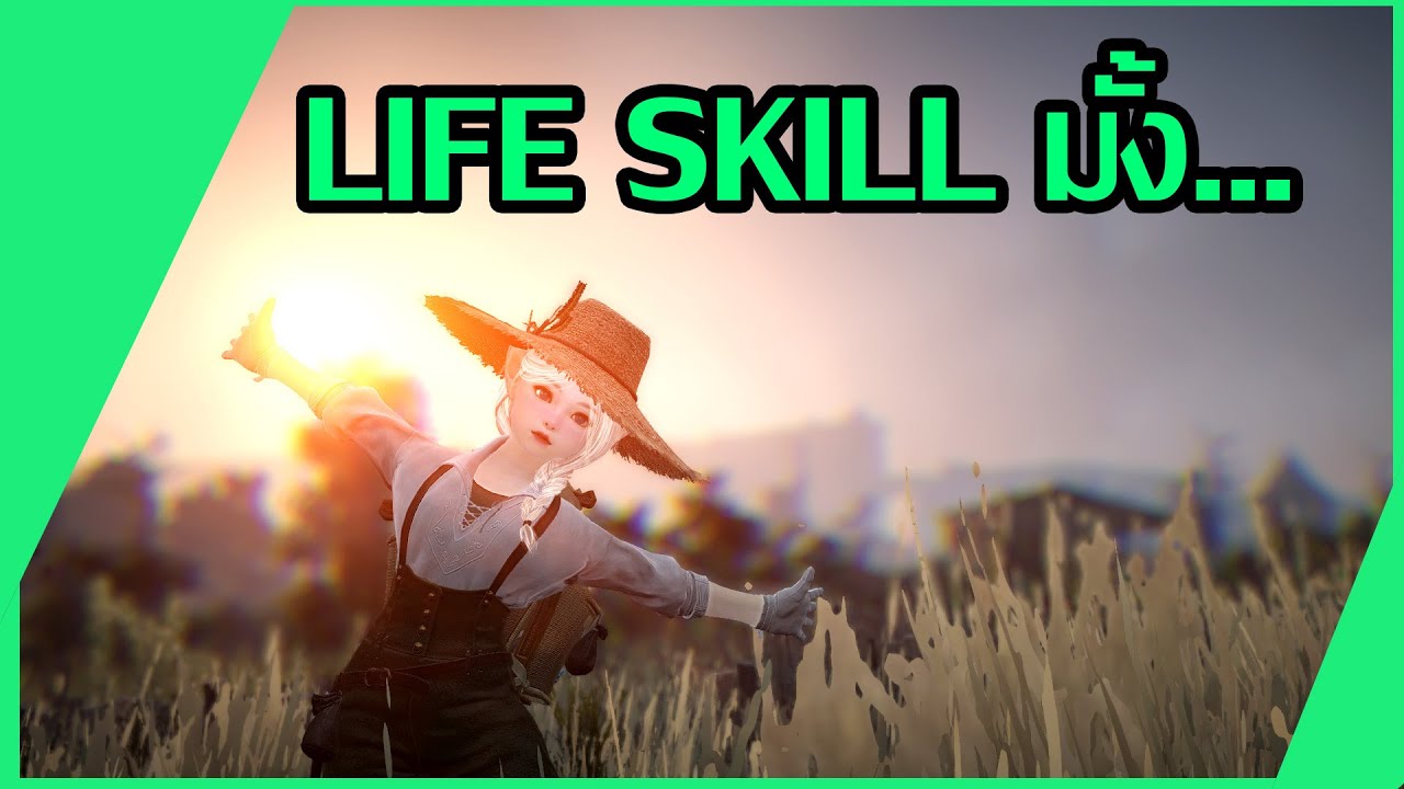 BDO  LIFE SKILL ไลฟ์สกิลพื้นฐาน 2025