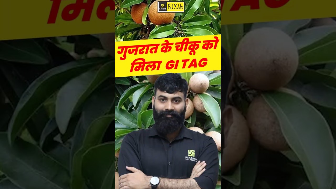 गुजरात के चीकू को मिला GI TAG! | 
