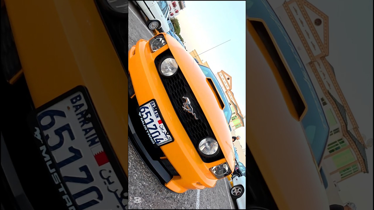 you can ask the flowers car show