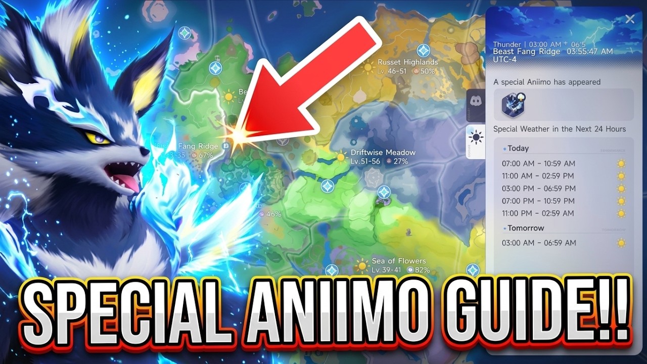 HOW TO FIND EVERY SPECIAL ANIIMO!! | EASY GUIDE