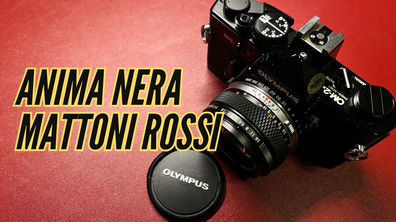 Frammenti di Storia: Olympus OM-2n tra le rovine di Sant’Antonio Abate