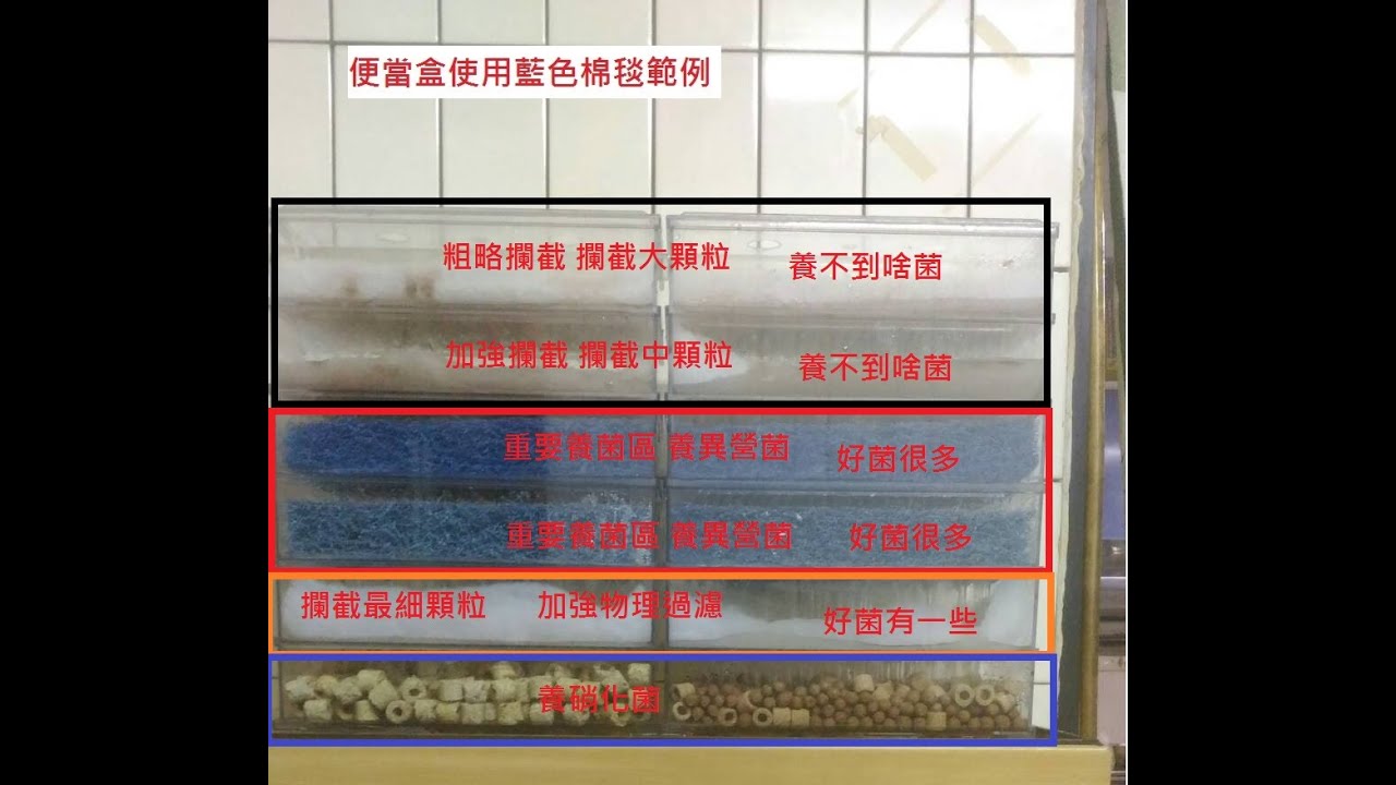 上部過濾器 過濾材料要多少 要怎樣安排與調整?