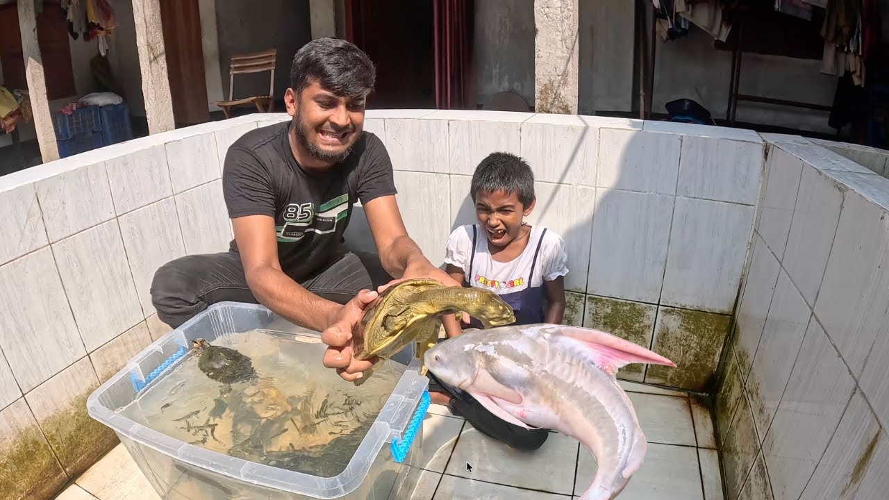 Aquarium Cleaning with Energetic People -- Fish Tank Washing Process 4K Ultra HD