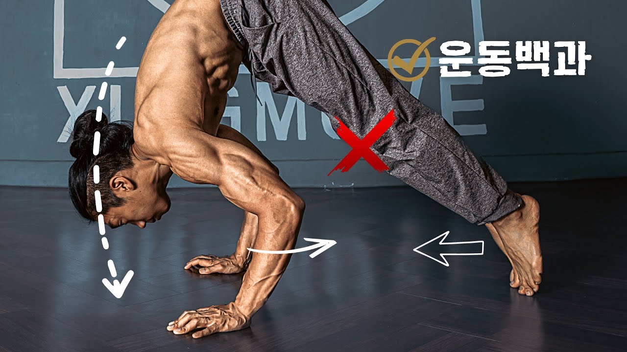 기구없이 할 수 있는 가장 강력한 어깨 운동 | 파이크 푸쉬 업 | 어깨 안정화 능력은 보너스 | 운동백과 | 장인비법서 마스터 최