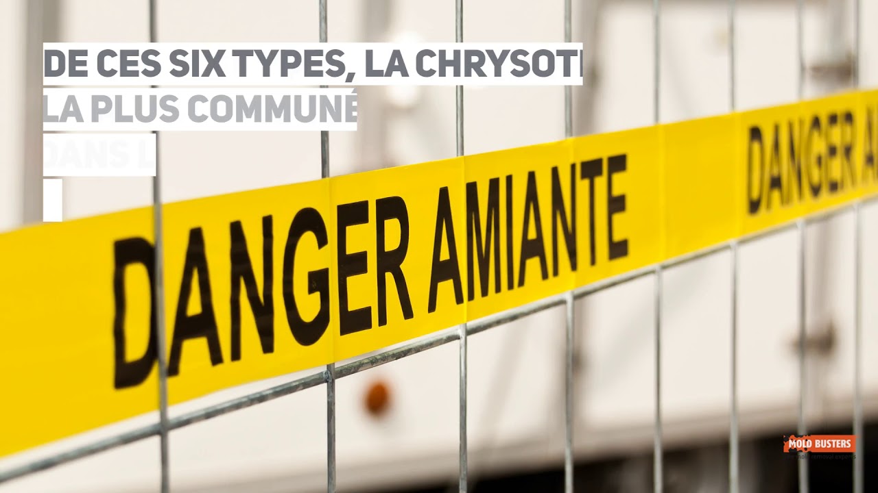 L&rsquo;amiante au Canada - La v&eacute;rit&eacute; sur l&rsquo;exposition &agrave; l&rsquo;amiante