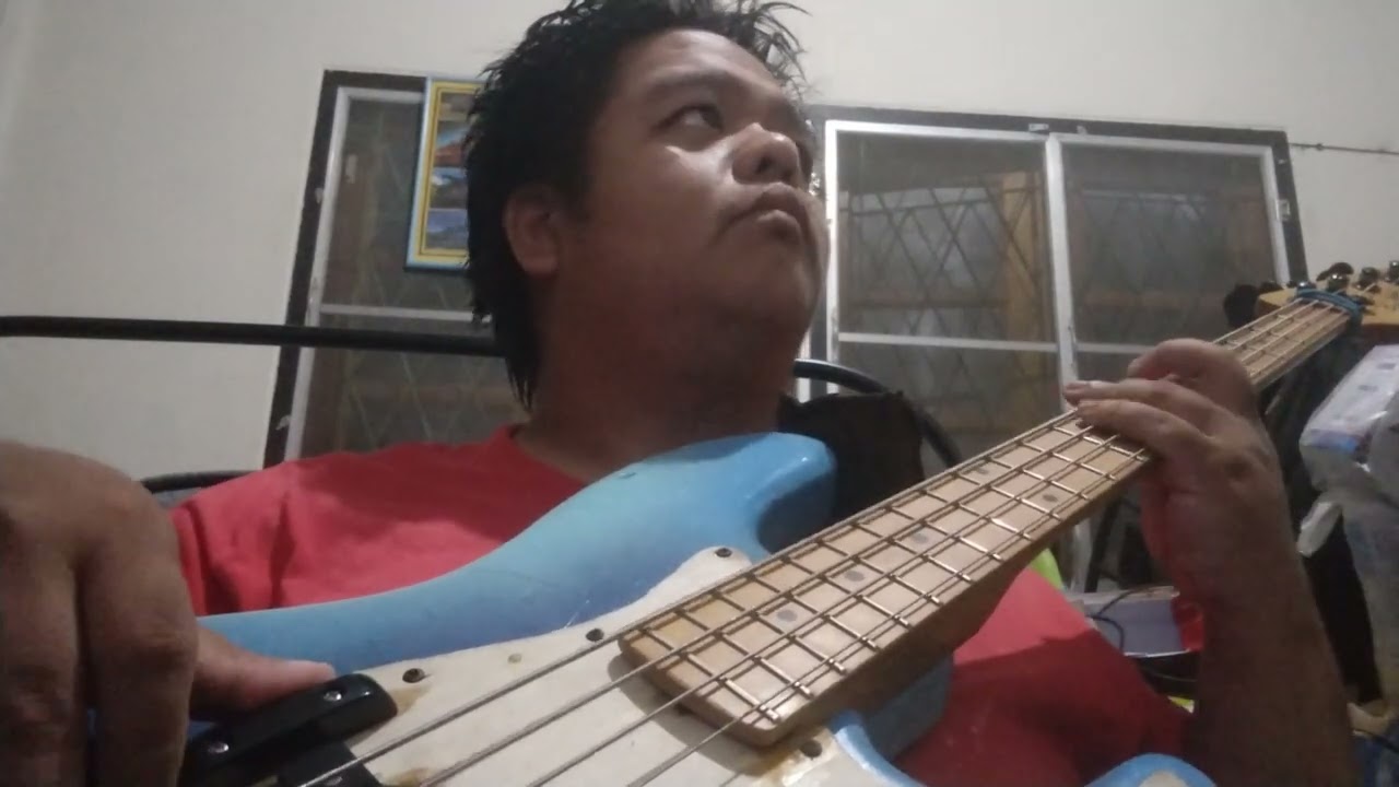 Snacks & Wine - Vim (Bass cover)