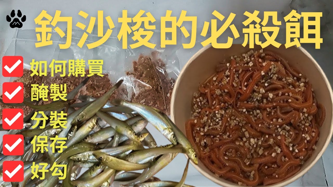釣魚人的彈藥庫!如何購買醃製與保存?好勾又比較不會掉!!!#山狗大#釣魚#fishing#紅蟲#紅青蟲#海蟲#遠投#沉底#灘釣#沙梭