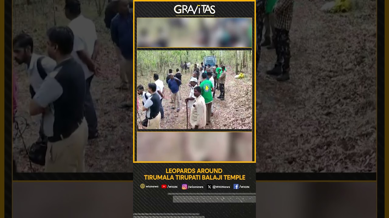 Gravitas: Leopard attacks young girl near Tirumala Tirupati Balaji temple