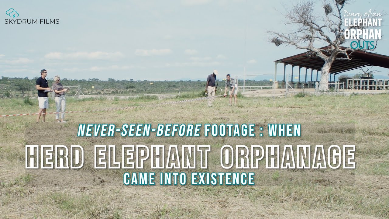 Never-seen-before footage when HERD elephant orphanage came into existence in 2019