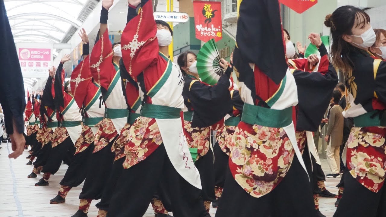 山口大学よさこいやっさん‼︎ YOSAKOIさせぼ祭り　アーケード会場　練り歩き「樂華」