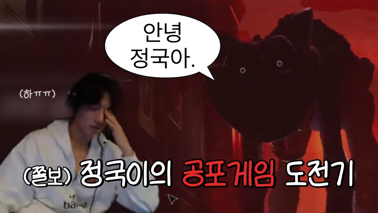 [방탄소년단] 정국이의 파피플레이타임3 도전기 라이브 요약