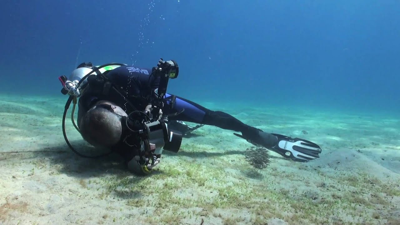 Martin Edge's Underwater Photo Tips.mov