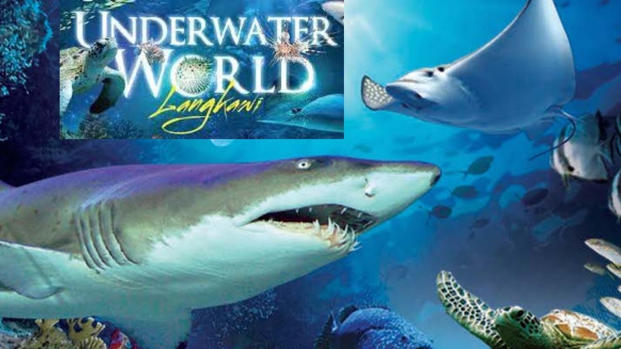 Underwater world Langkawi | Explore with me