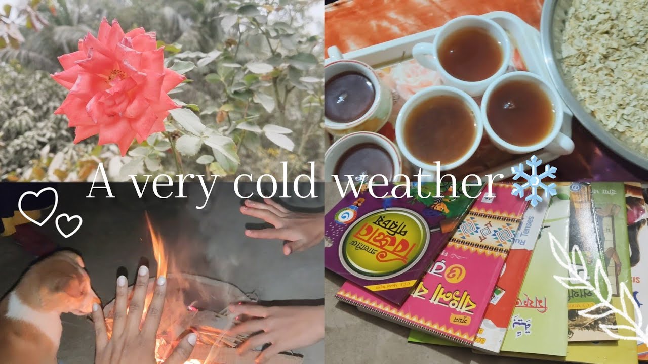 A random winter day🧣☕|| A very cold weather 🌡️❄️