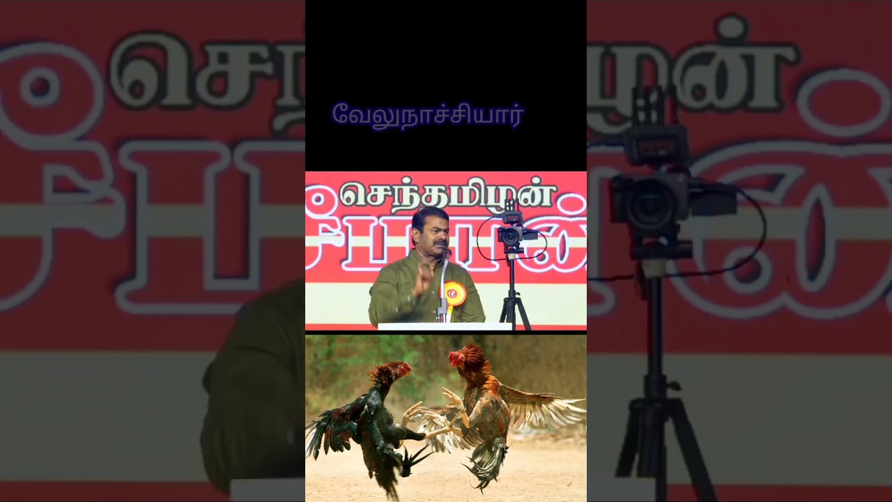 #seeman #makkalinmaanadu #maanadu #ntkmaanadu #saattaiduraimurugan #saattai #ntk #naamtamilar