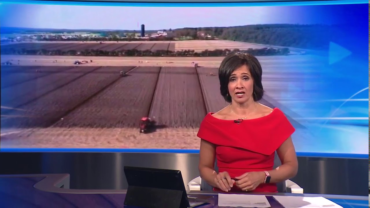 Ben Philip - STV News at Six - World Ploughing Championships