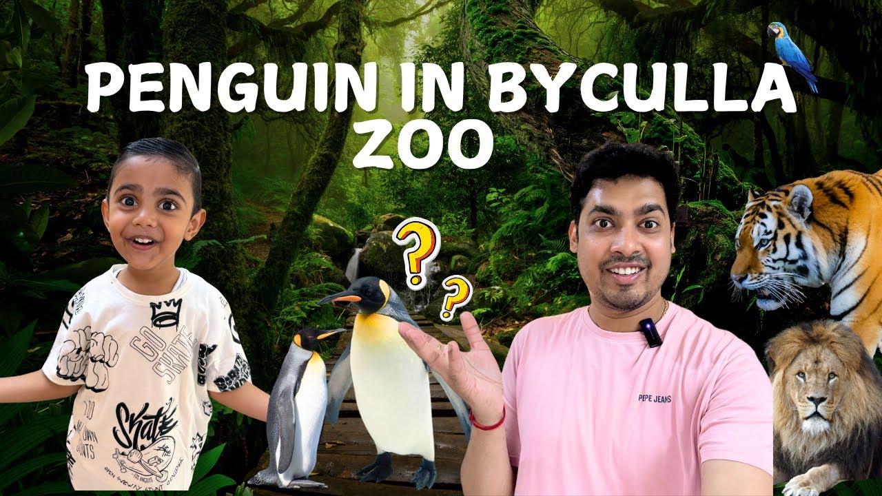 Mumbai Rains at Byculla Zoo  🌧️🐧 | marine drive | status restaurant #penguins #turtle
