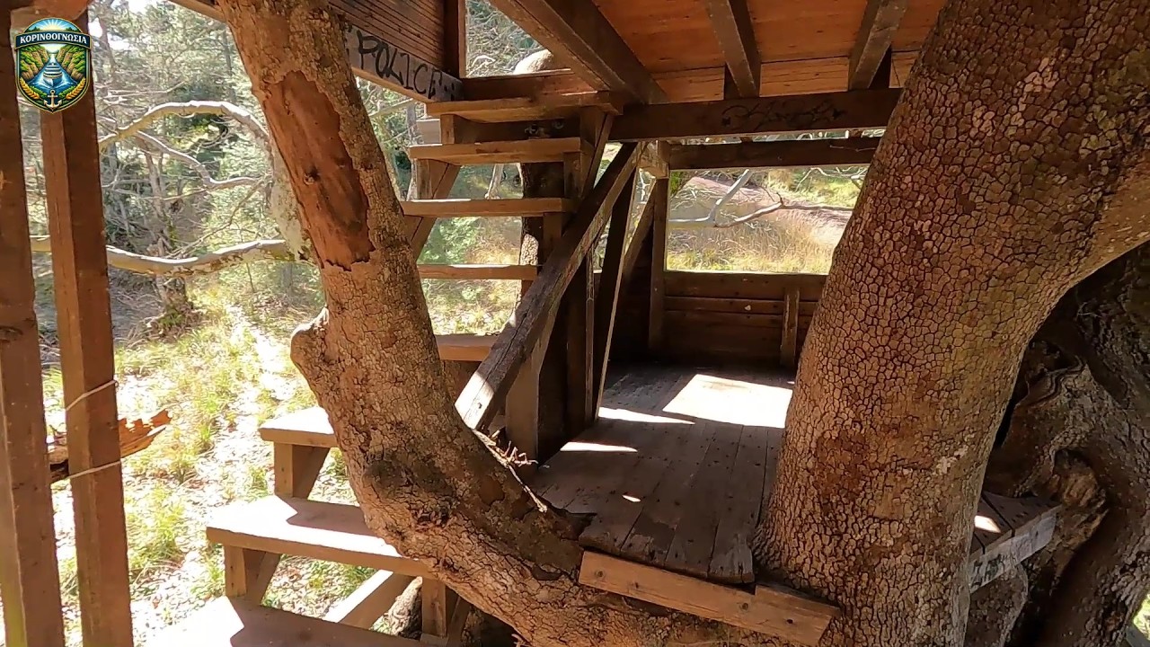 Απόδραση για δύο: Το κρυμμένο δεντρόσπιτο στα Πίσια Κορινθίας 🏠