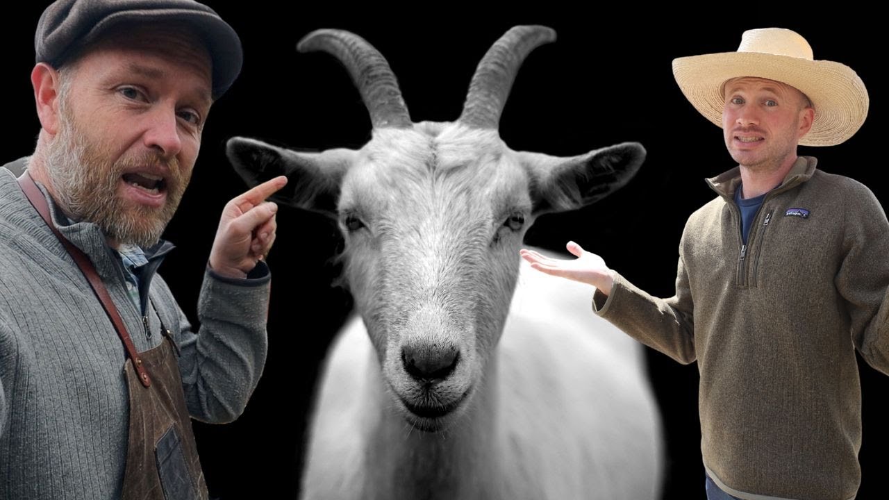 Justin Rhodes Wants Me to Film GOATS?!