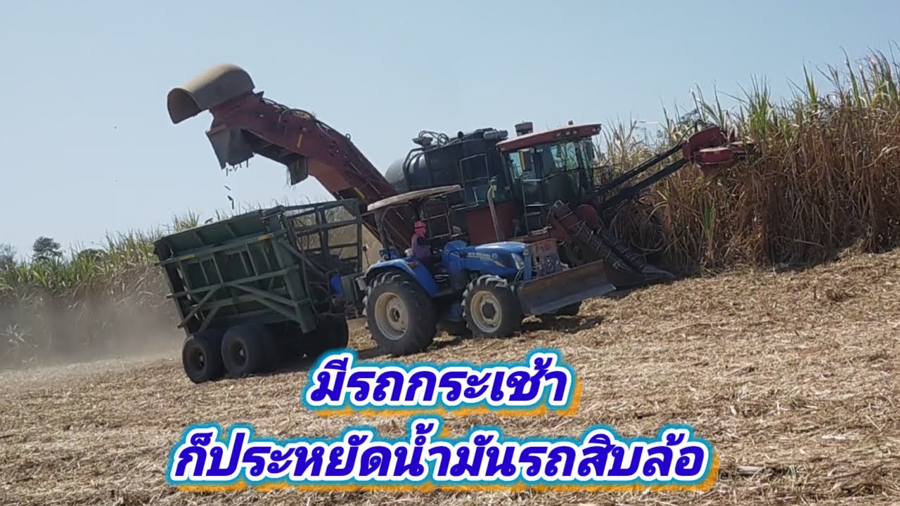 ตัดอ้อยใส่รถกระเช้า EP 15/69