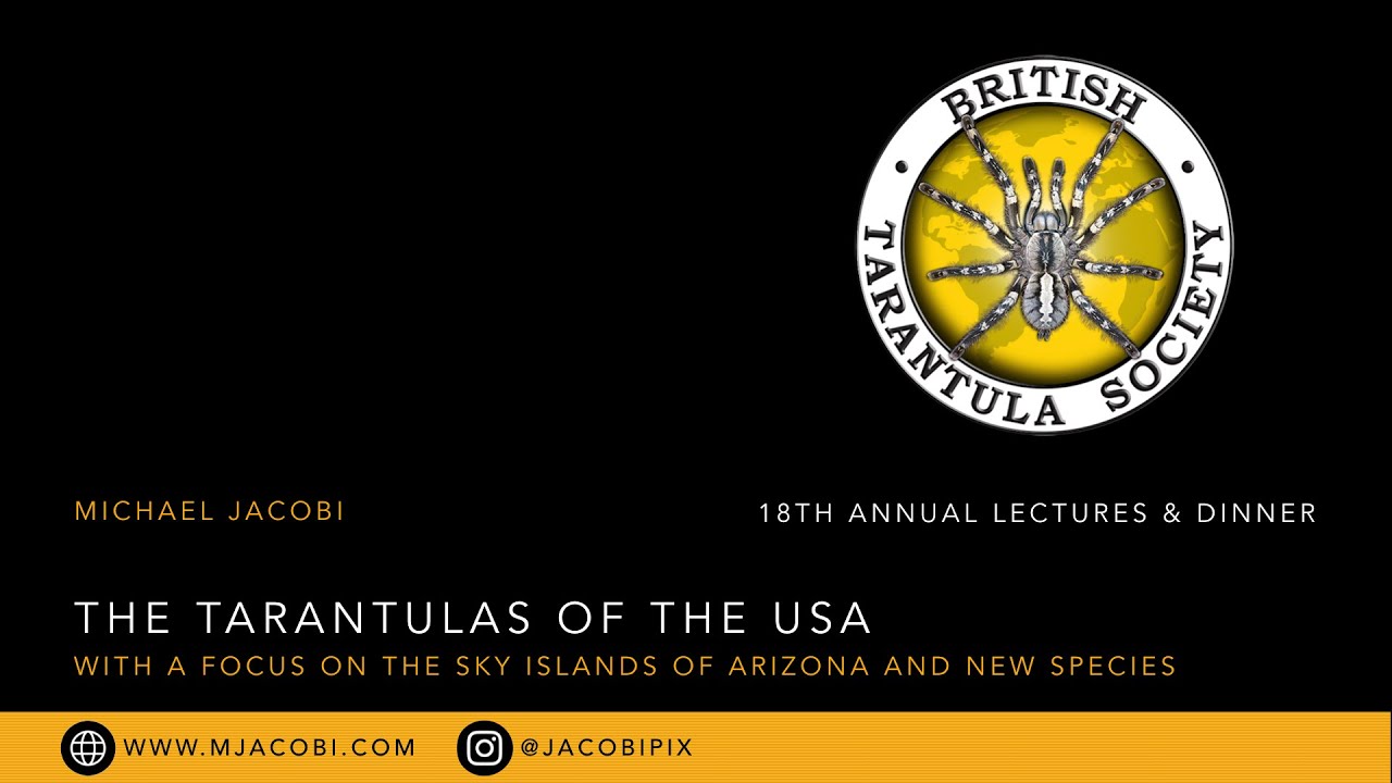 Tarantulas of the USA with a Focus on the Sky Islands of Arizona and New Species - Michael Jacobi